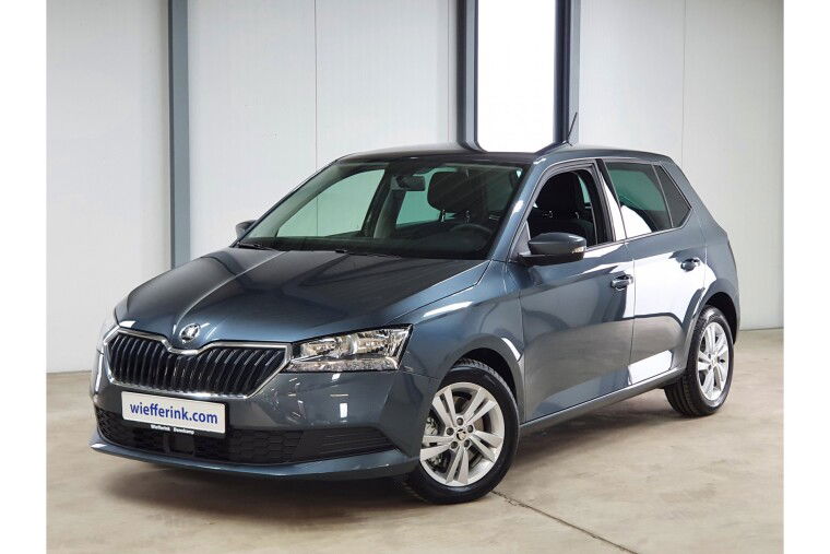 Škoda Fabia 1.0 TSI Ambition 95 pk DSG Apple Carplay/Android Auto Camera