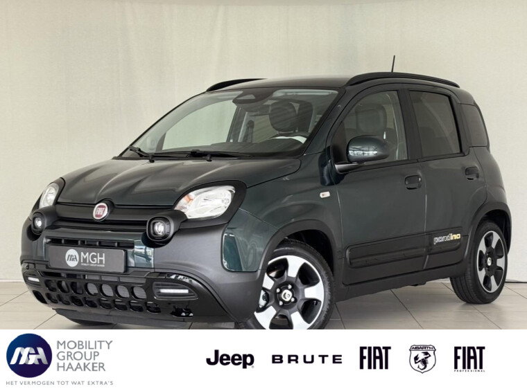 Foto van Fiat  Pandina 1.0 Cross