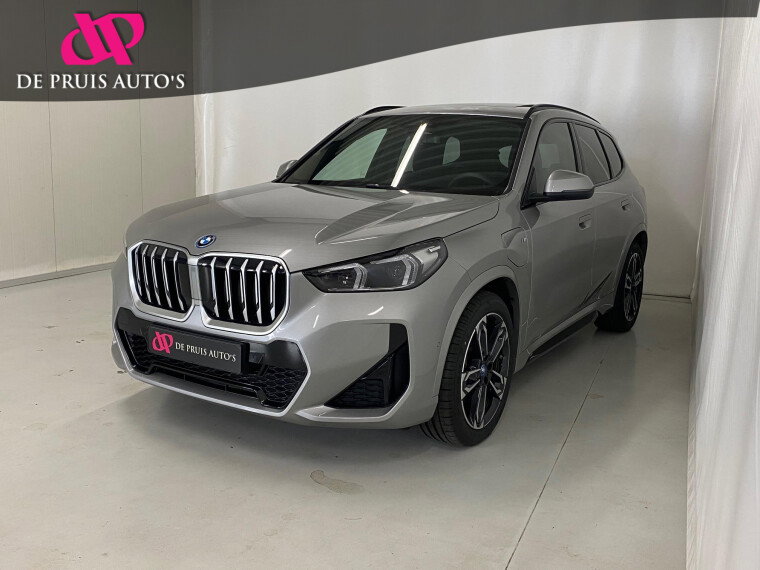 Foto van BMW X1 xDrive25e