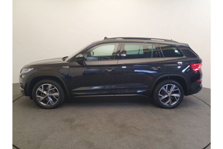 Škoda Kodiaq 1.5 TSI 150pk DSG/AUT Sportline Business 7p. Panoramadak, ACC, Trekaak