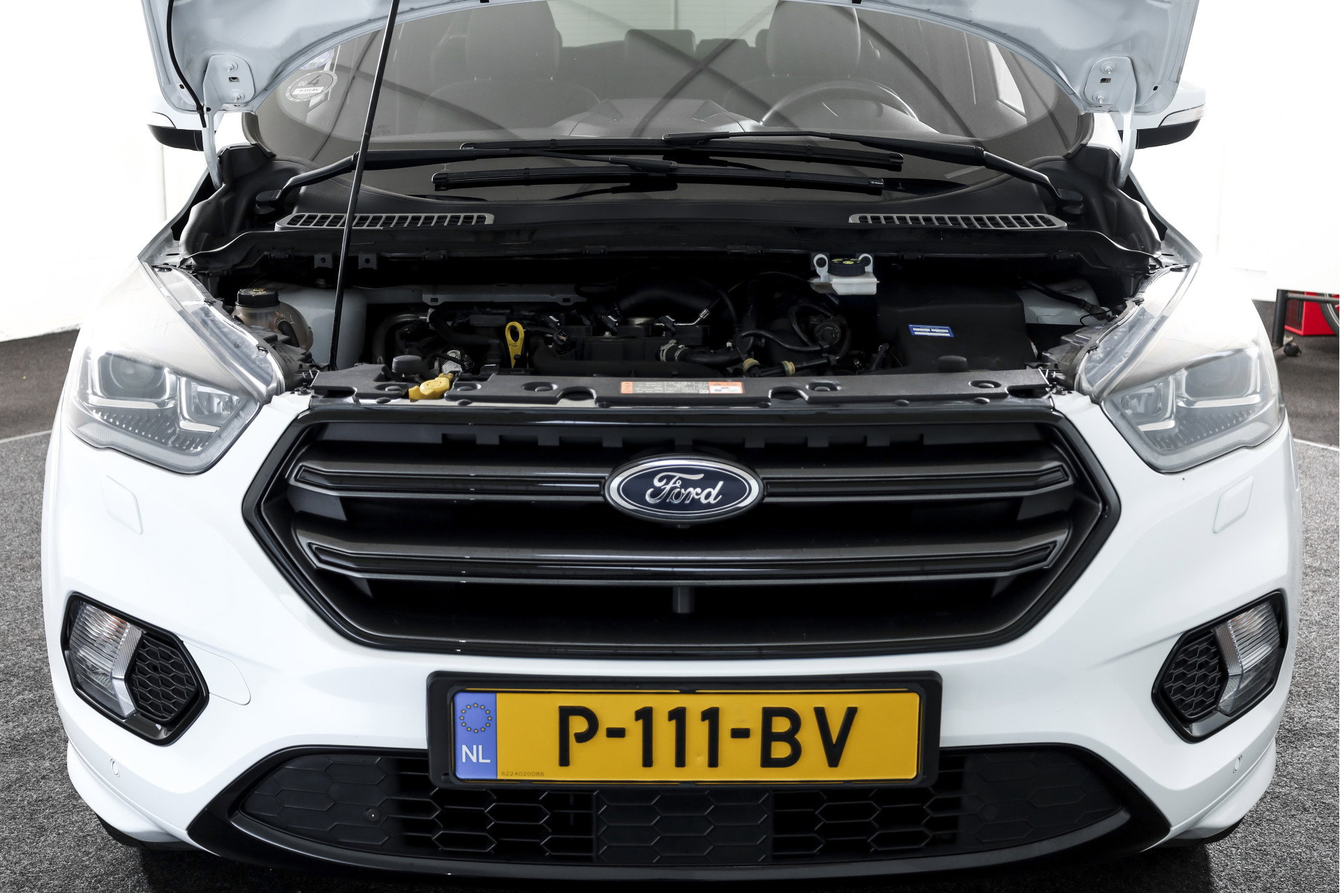 Ford - Kuga