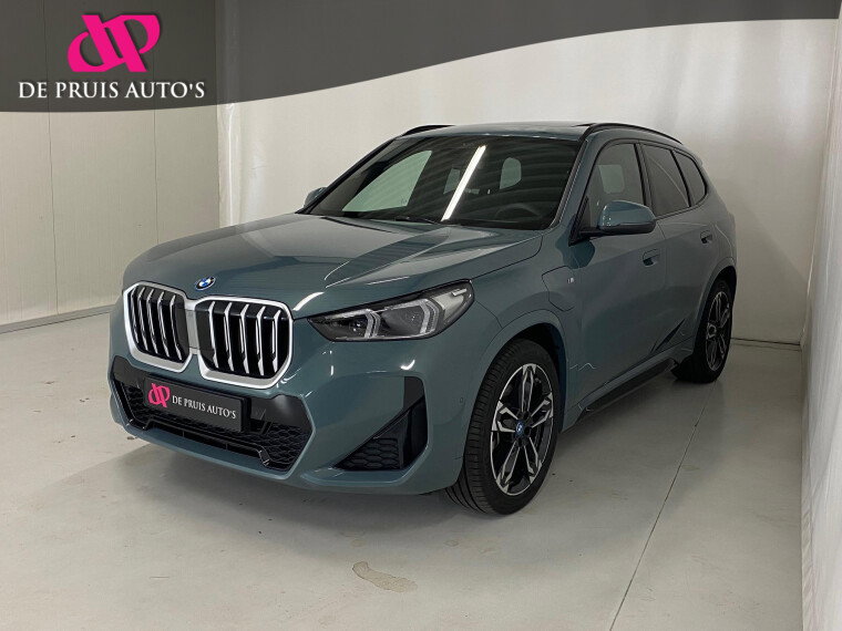 Foto van BMW X1 xDrive25e