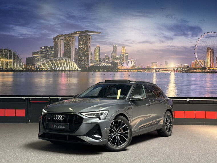 Foto van Audi e-tron e-tron 50 quattro 3x S-Line 71 kWh
